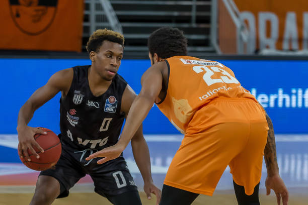 雄鹿守住领 雄鹿守住领