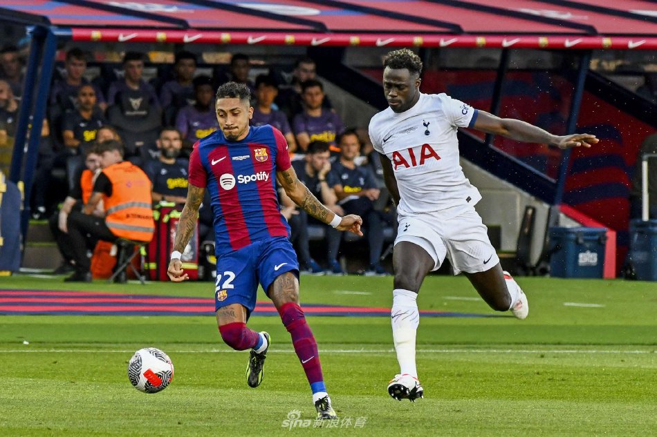 日本在羽毛 日本在羽毛